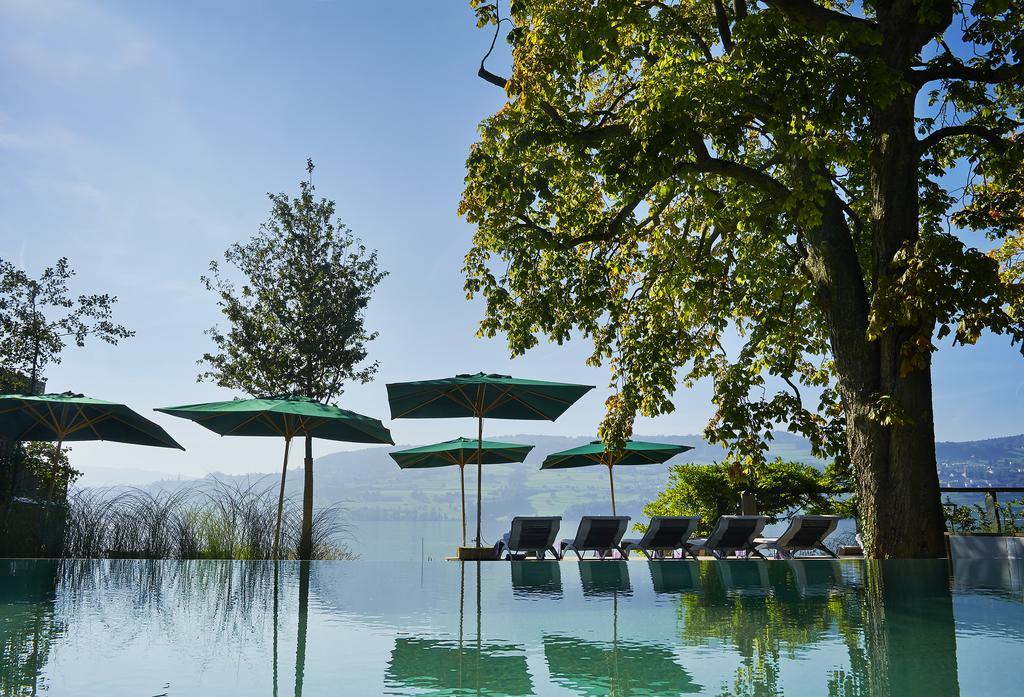 Seerose Resort&spa 4* Meisterschwanden